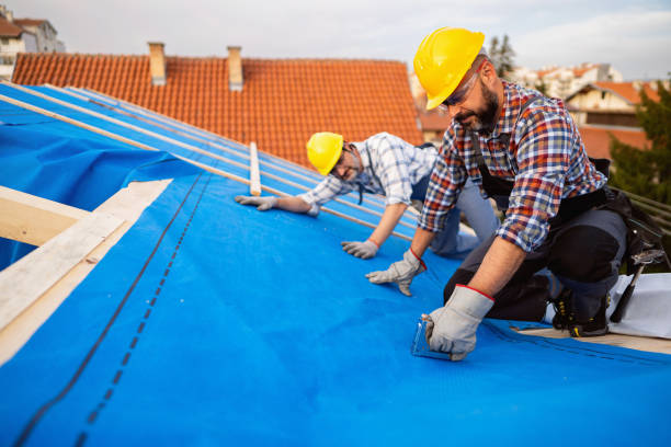 Best Metal Roofing Contractor  in Gumlog, GA
