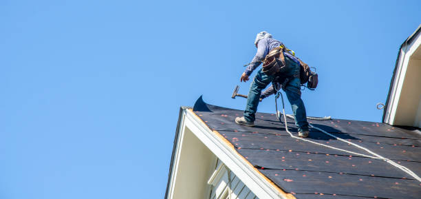 Best Roof Maintenance Services  in Gumlog, GA